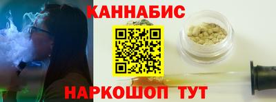 мдпв Бийск