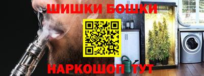мдпв Бийск