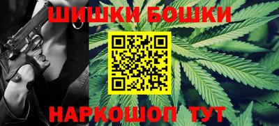 мдпв Бийск