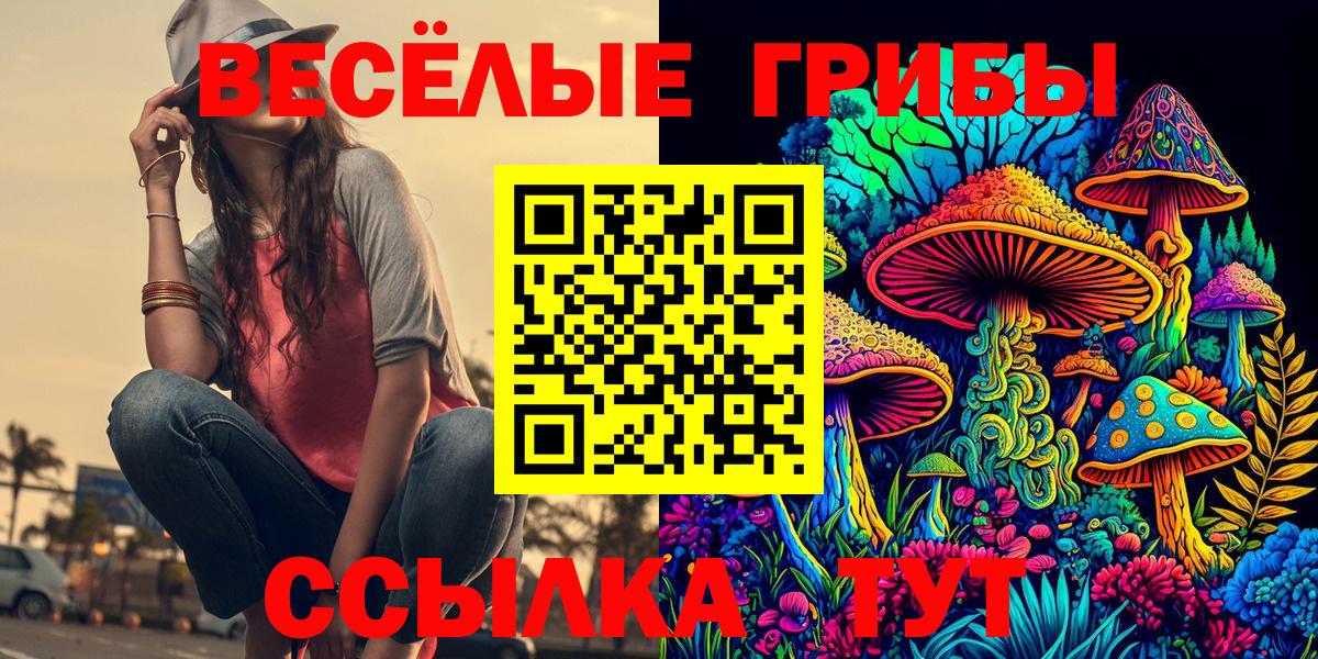 Псилоцибиновые грибы прущие грибы Карпинск