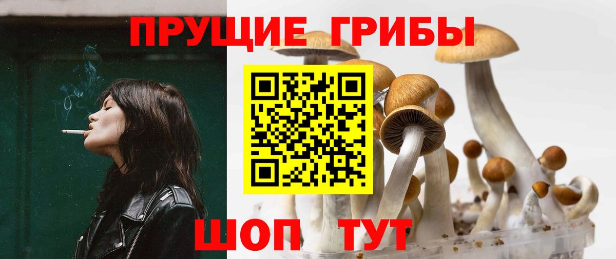 Псилоцибиновые грибы ЛСД  где найти   Карпинск  Псилоцибиновые грибы прущие грибы  Вход с VPN 